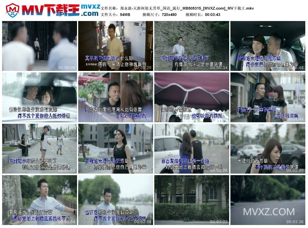 郑永波-天涯何处无芳草_国语_流行_MB505315